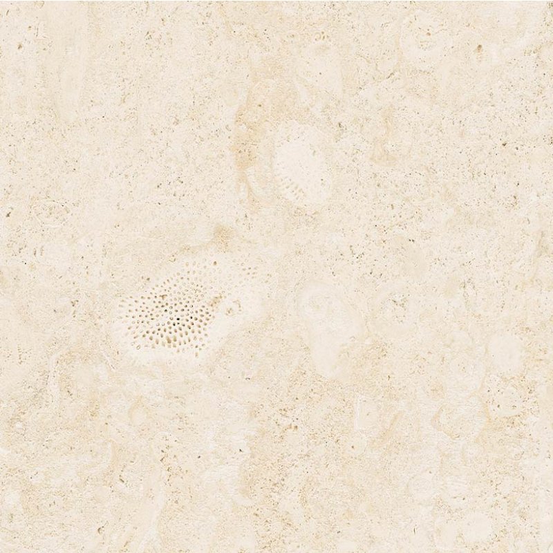 CORALINA