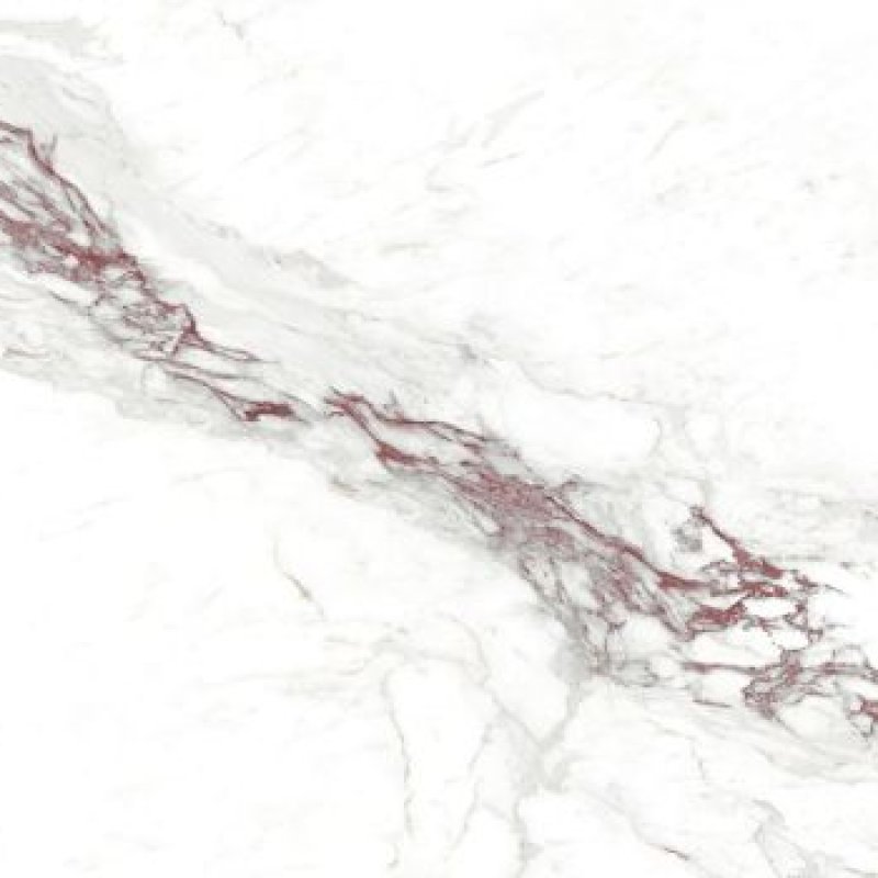 MONTE RED 